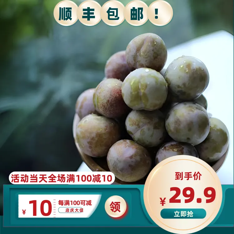 正宗桃形李新鲜上市嵊州特产脆甜可口现摘现发