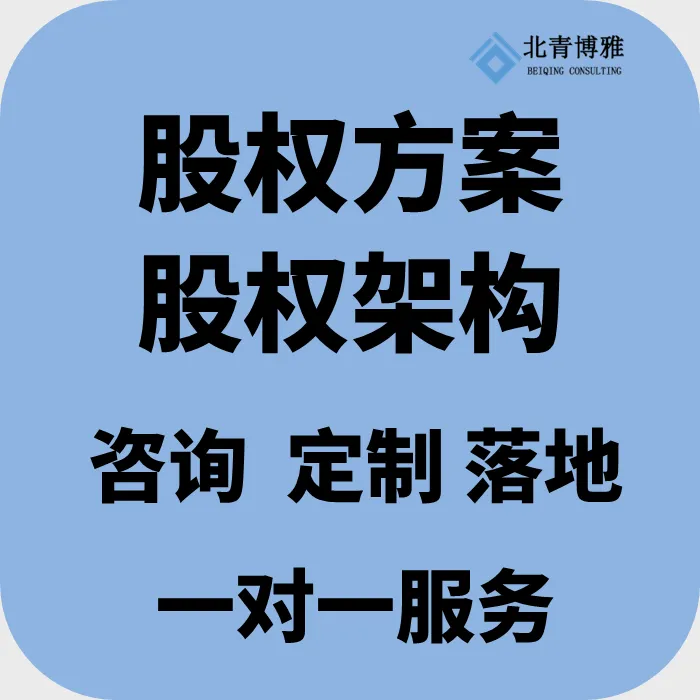 股权架构一对一咨询 股权方案定制 股权设计咨询 股权架构咨询