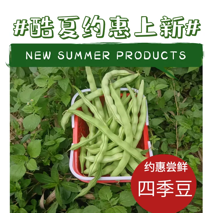 农家自种贵州新鲜四季豆棒豆肉豆芸豆青豆时令蔬菜