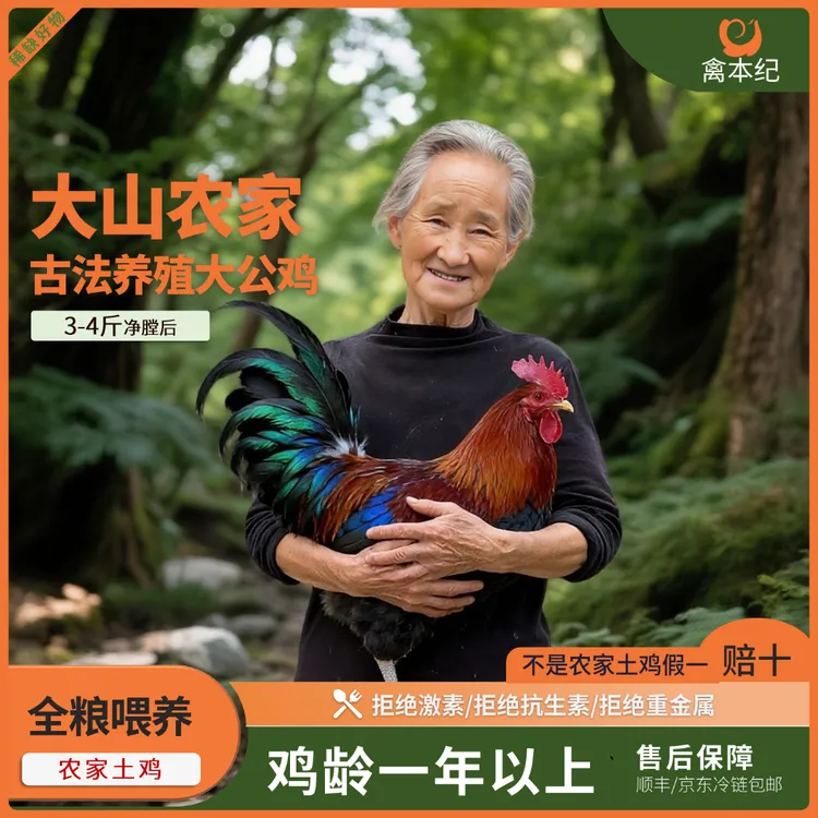 禽本纪四川大巴山正宗深山农家散养1年土鸡大公鸡净膛后重3~4斤