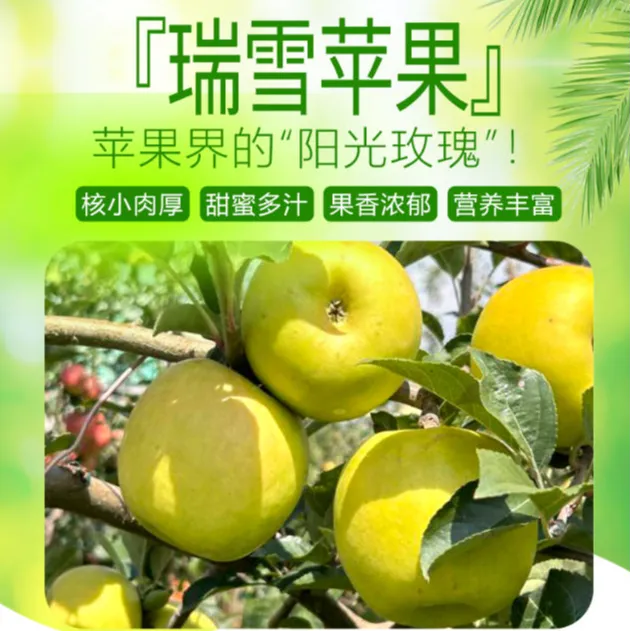 【顺丰/京东快递】瑞雪瑞香红双拼/红富士奶油富士王林三拼