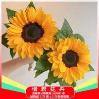 【向日葵】云南鲜花基地直发家用鲜花直播间直播卖花鲜切花两单送草