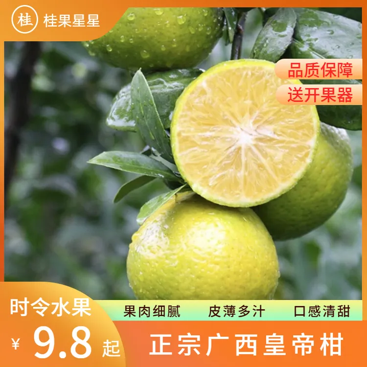 【正宗广西皇帝柑】新鲜采摘 清甜皮薄多汁 当季时令水果