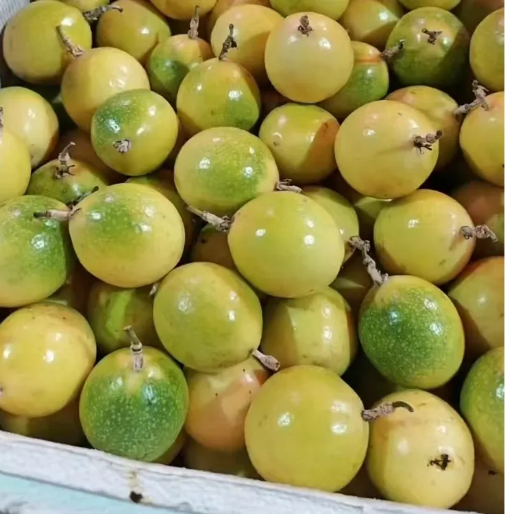 海南百香果纯甜正宗钦蜜9号黄金百香果果味浓郁