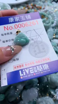 翡翠未镶嵌吊坠(不含链)6261