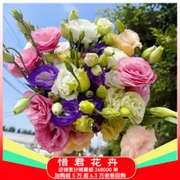 【洋桔梗混色】云南鲜花基地直发家用鲜花玫瑰鲜切花两单送配草