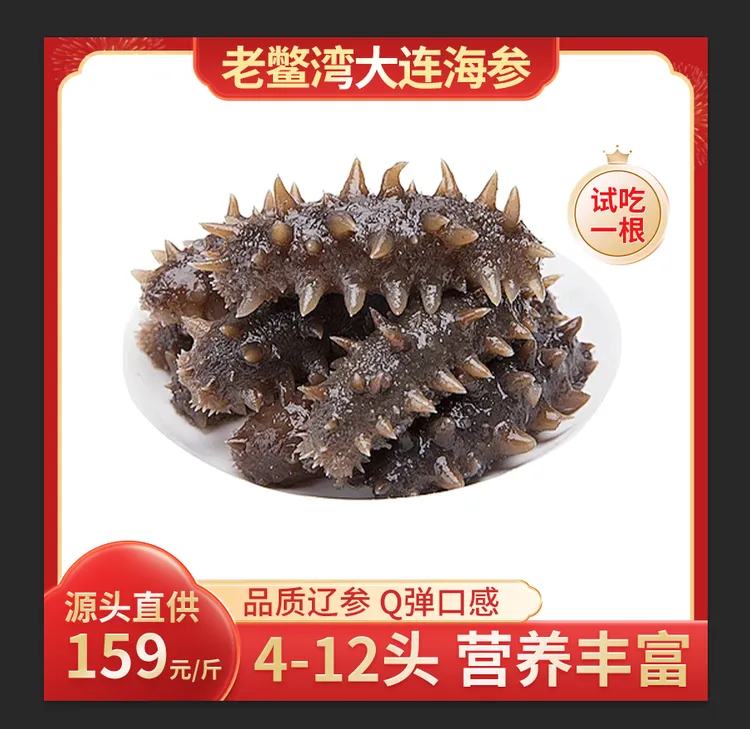 大连鲜蒸海参 深海30米 口感筋道深海底播5-12头/斤 顺丰冷链发货