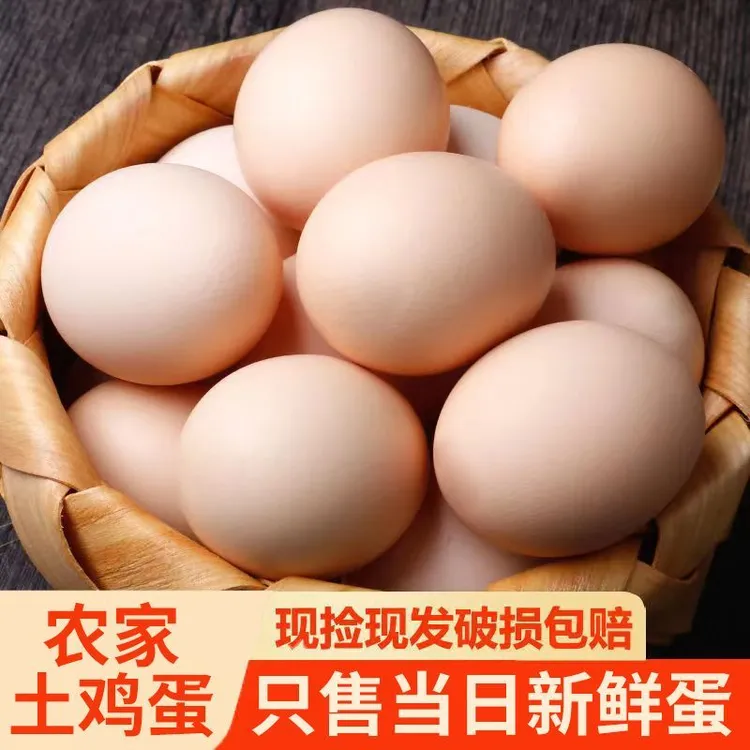 农家散养土鸡蛋新鲜营养谷物喂养草鸡蛋柴鸡蛋破损包赔每日甄选