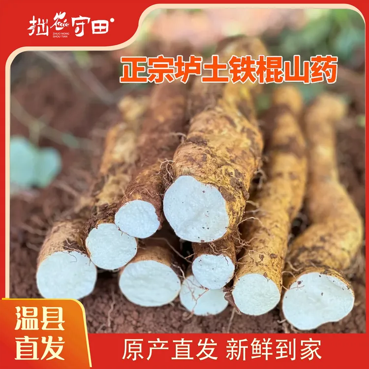 梅姐姐专属【正宗】铁棍山药怀山药滋补原产地温县垆土地新鲜山药