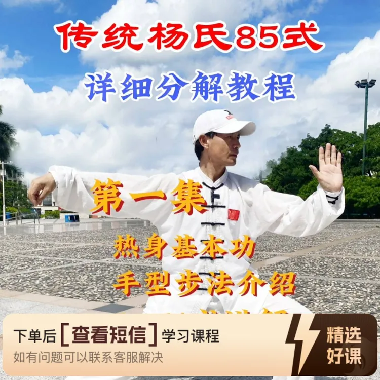 传统杨氏85式详细分解教程第一集-黄厚大（留意短信解锁课程）