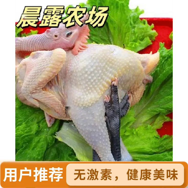 生态散养土鸡,3只黑脚大冠大公鸡,不带内脏,京东送货上门