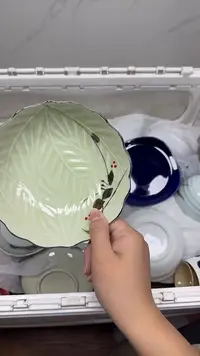 【闪购商品】457回流瓷器，默认微瑕18.8包邮