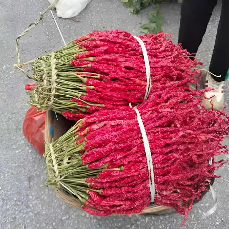 贵州特产 2025大方二荆条 皱皮椒 鸡爪辣 微辣不辣特香干辣椒干货