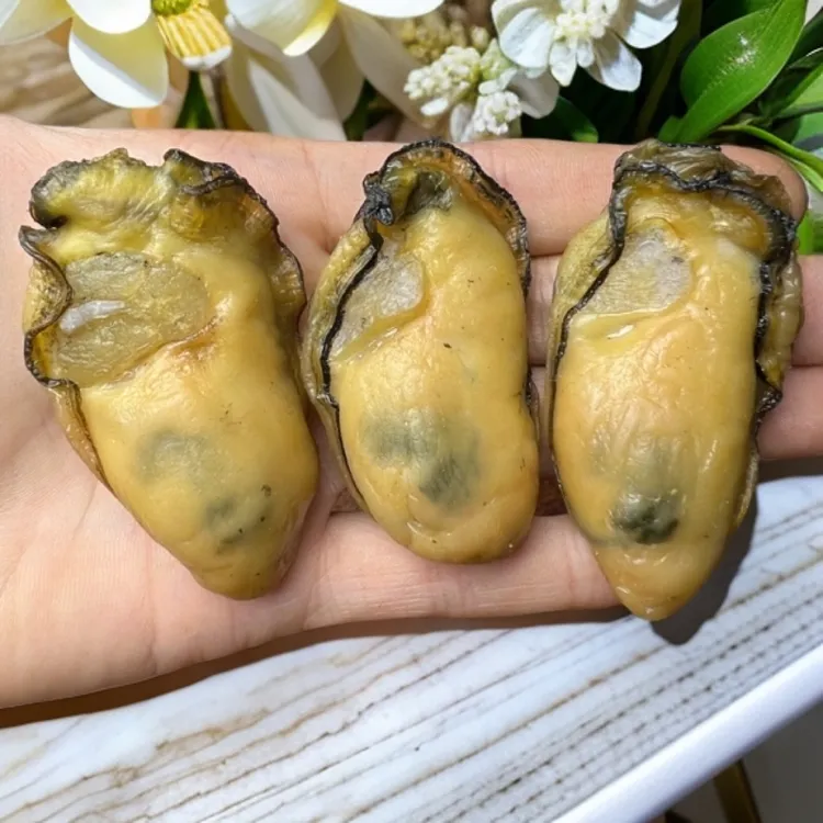 【台山金蚝干】35头左右 5-6成干 无抽油 速冻冷链发货 急冻保存