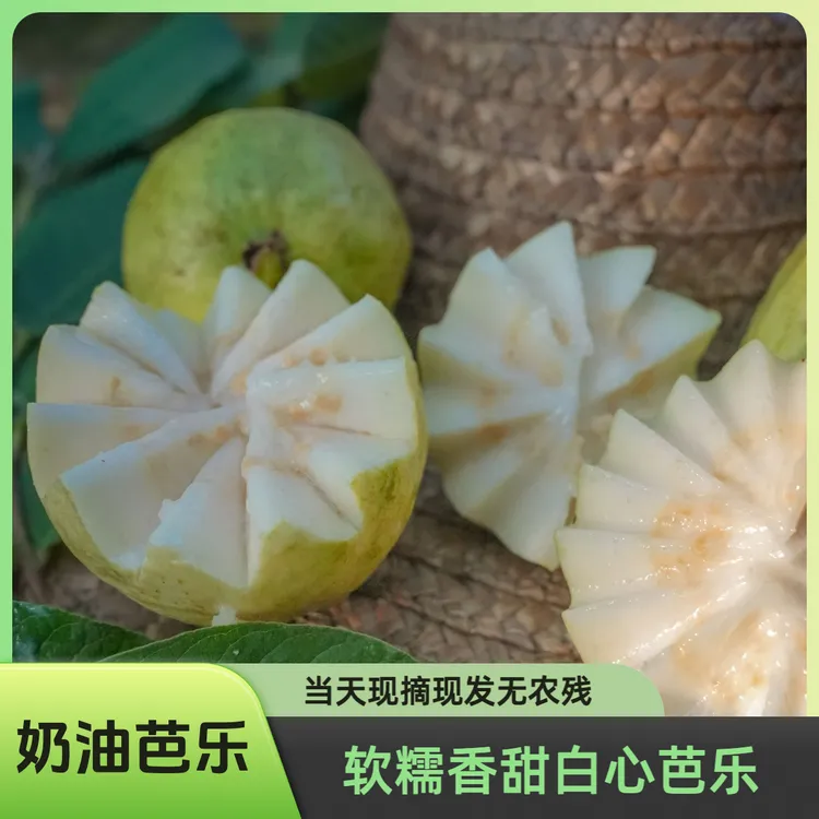 奶油白心奶软芭乐口软糯香甜白心白肉芭乐奶番石榴白心冰淇淋口感