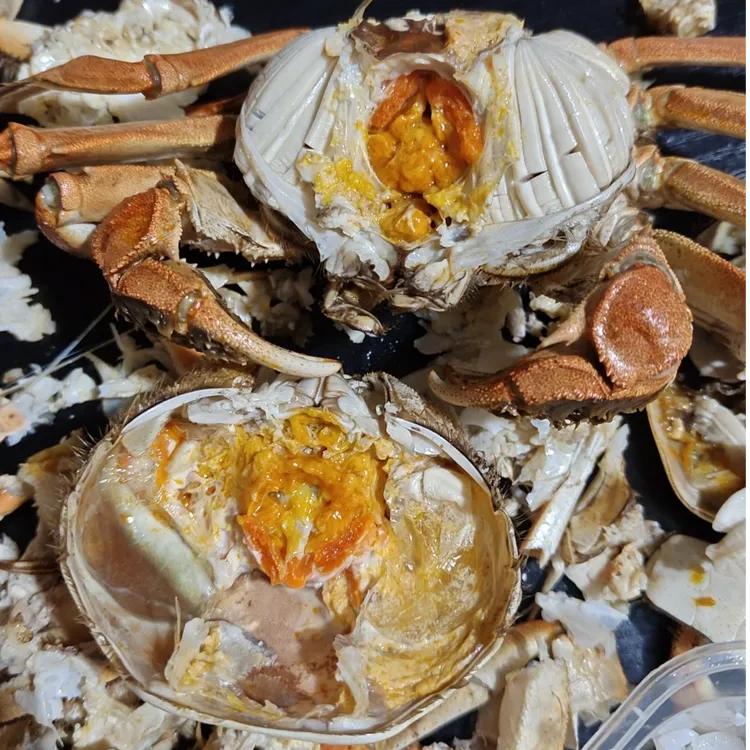 全母鲜活大闸蟹6只装3两母江苏兴化大闸蟹香辣蟹