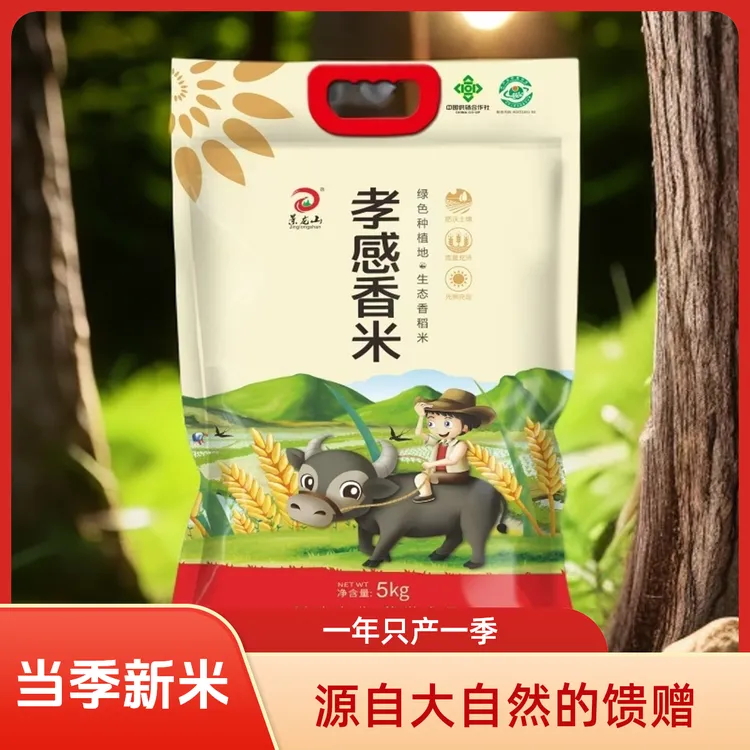 孝感香米自然稻香味小时候的味道厂家直发日期新鲜