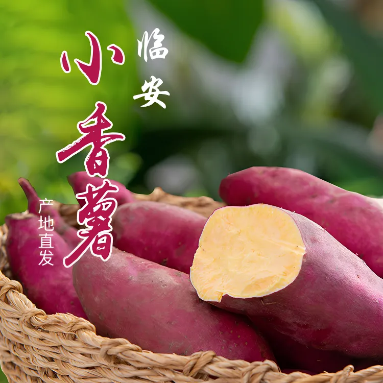 正宗临安天目山小香薯农家自种地瓜板栗味番薯5斤