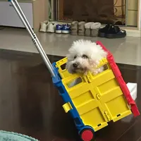 G&F买菜小拉车取快递手推车折叠购物车38*36*85cm