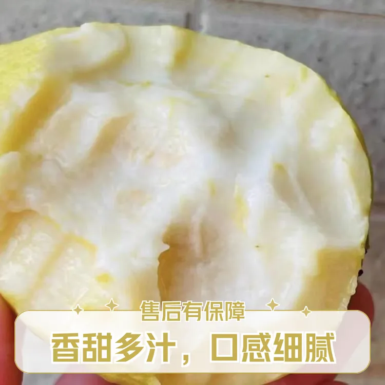 【老树冰淇淋口感】广西南方水果新鲜软心芭乐白心奶油番石榴鸡屎果