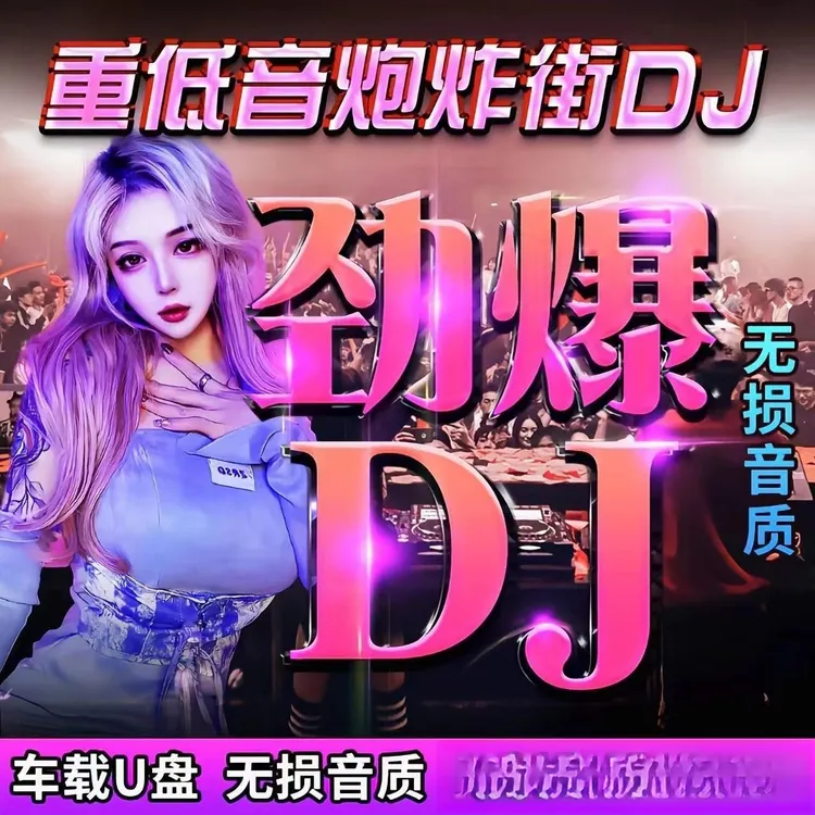 2025车载u盘歌曲流行DJ炸街舞曲劲爆重低音无损高音质音乐usb优盘