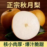 正宗山东秋月梨 皮薄多汁 新鲜香甜 净重4.5斤4-6个