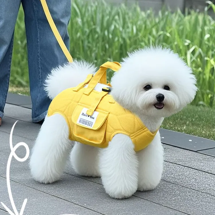 狗狗外出包便携单肩斜挎横背小狗包猫包小型犬手提轻便牵引绳背包