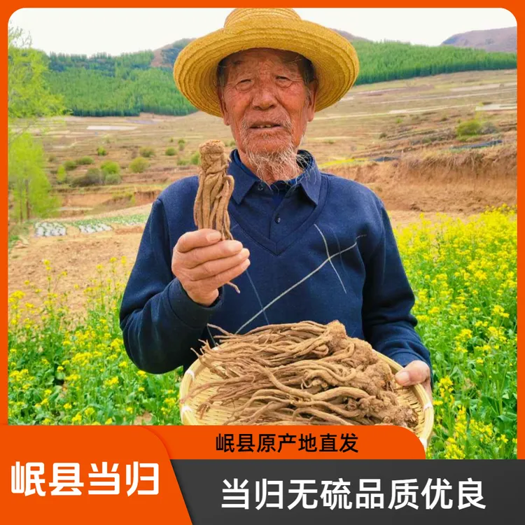 岷县特级当归原条无硫熏煲汤搭配黄芪党参包邮当归