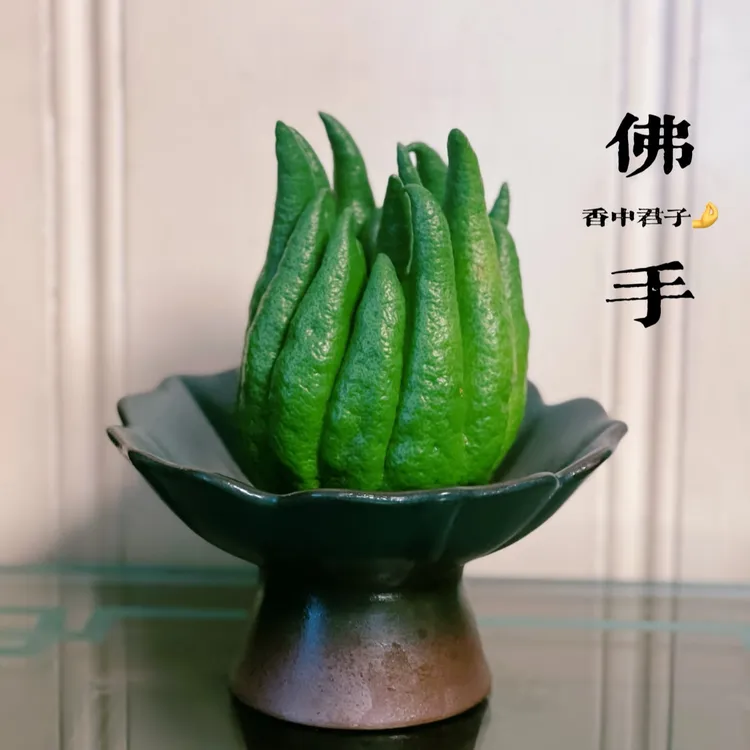 【专属浪漫】佛手柑鲜切果家用摆件天然香薰鲜花云南省基地鲜切花