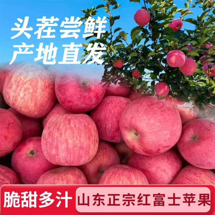 山东烟台红富士正宗当季新鲜水果甜脆多汁高山种植季应季