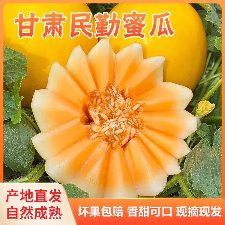 沙民勤金红宝黄河蜜瓜香甜多汁新鲜水果