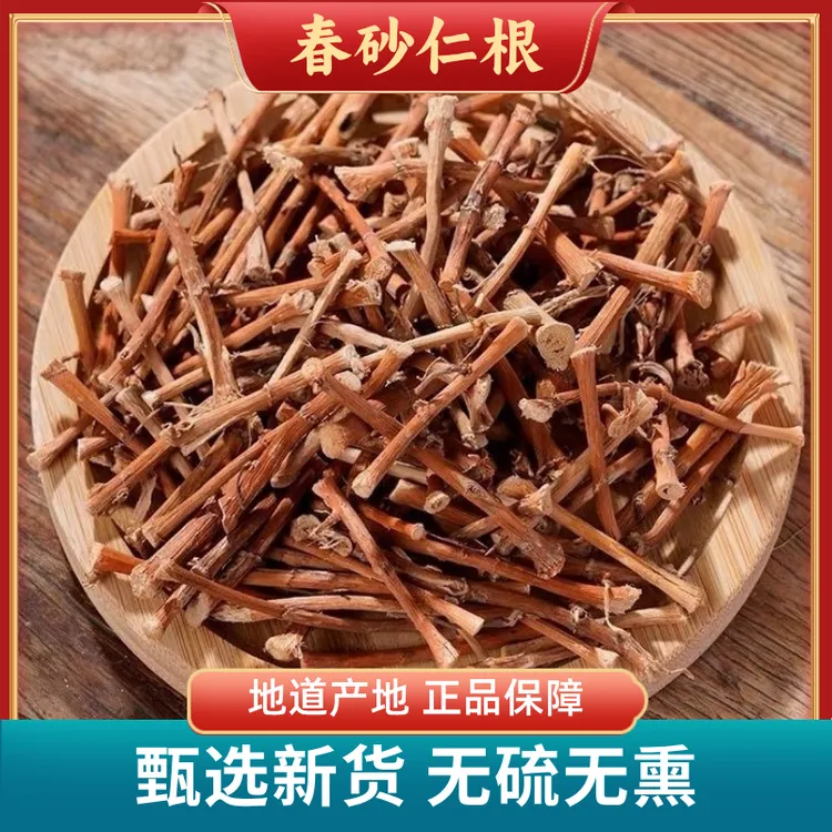 野生春砂仁根正宗阳春春砂仁干根煲汤煮水农产品自晒春砂仁砂仁根