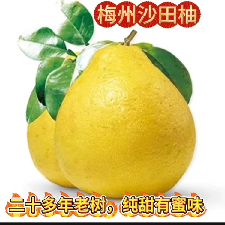 正宗梅州沙田柚金柚纯甜柚子当季新鲜水果广东特产
