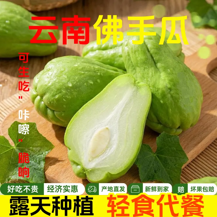 现摘云南新鲜佛手瓜洋瓜福寿瓜洋丝瓜捧瓜新鲜蔬菜精品新鲜蔬菜