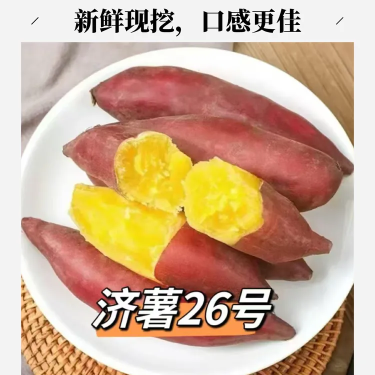 新鲜现挖内蒙科尔沁 小香薯 软糯香甜板栗味可烤可蒸煮红薯