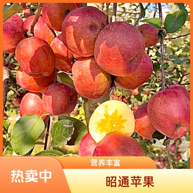云南昭通冰糖心丑苹果新鲜水果脆甜可口现摘现发