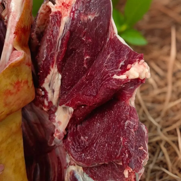 贵州高山带皮草山小黄牛后腿肉