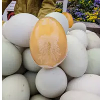 黎记蛋庄当日新鲜正宗农家皮蛋