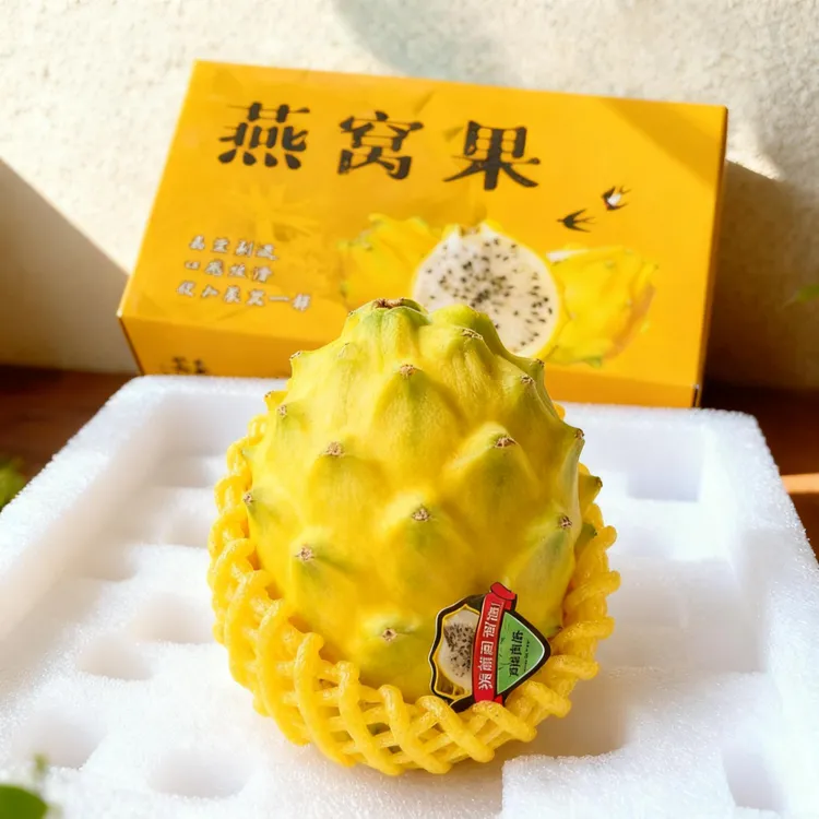 [海岛果仓] 海南燕窝果新鲜火龙果麒麟果热带应季水果礼盒