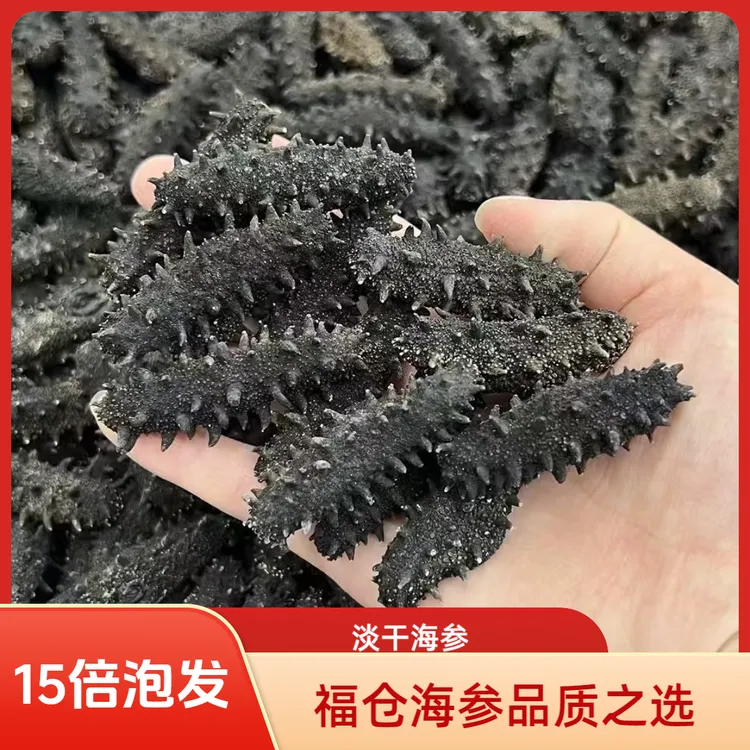福仓海大连正宗辽刺参淡干海参顺丰包邮