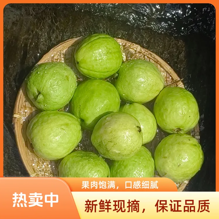 新鲜正宗白心奶油芭乐番石榴水果柔嫩多汁包邮生吃现摘现发