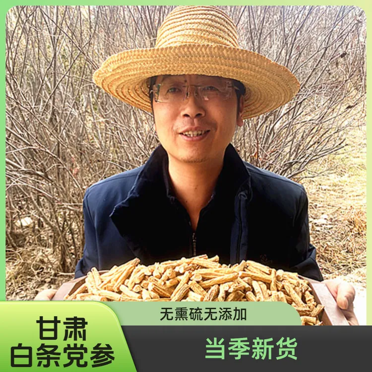 甘肃精品党参段无硫新货适合搭配黄芪麦冬西洋参党参产地直销