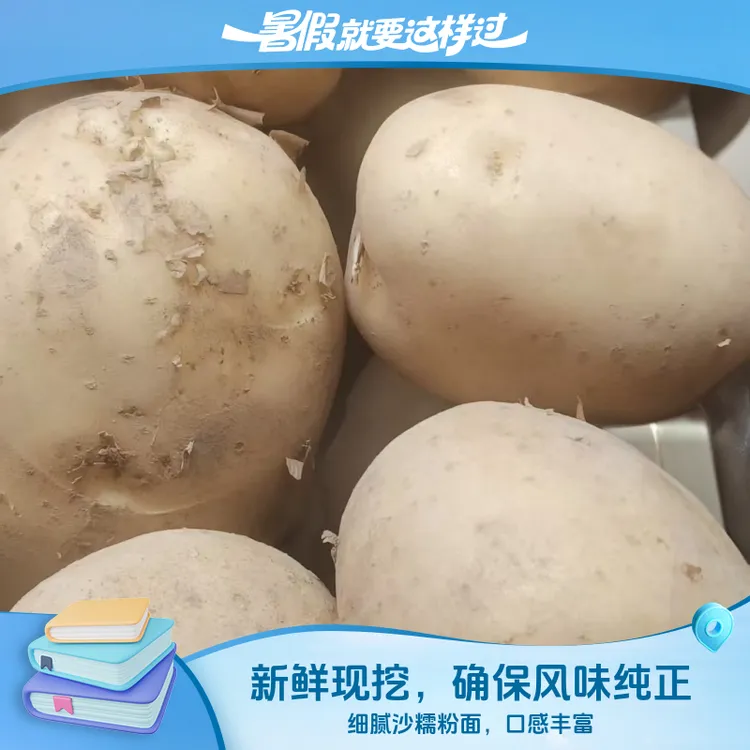 贵州老品种黄皮红皮黄芯新鲜现挖黄皮黄心土豆洋芋沙糯粉面口感好