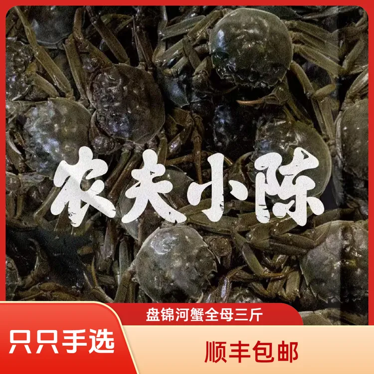 【河蟹】盘锦河蟹 全母1.6-1.3两 3斤全母螃蟹 盘锦河蟹礼盒 