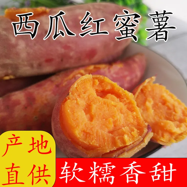 广东高州西瓜红蜜薯新鲜现挖红番薯口感香甜香糯甜蜜肉感细腻