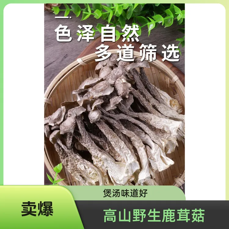 古田高山头茬鹿茸菇新货无硫无熏干货可凉拌炒肉煲汤菌菇干货菇