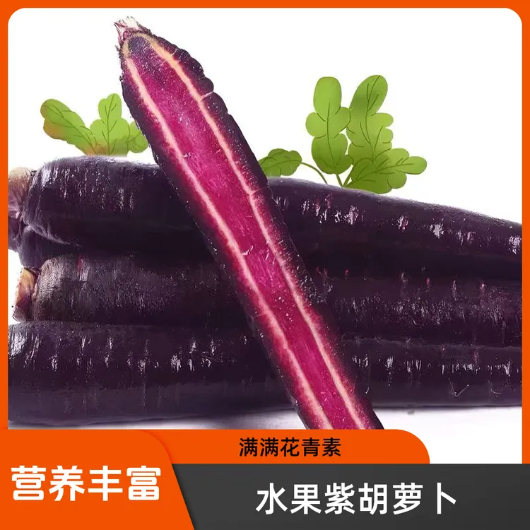 紫皮胡萝卜新鲜当季脆甜紫色胡萝卜素农家蔬菜花青素萝卜产地直发