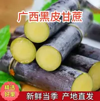 正宗广西黑皮甘蔗新鲜应季清甜多汁榨汁水果
