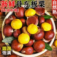 丹东正宗板栗推荐5斤新鲜高山老树香甜饱满软糯好剥皮香糯可口