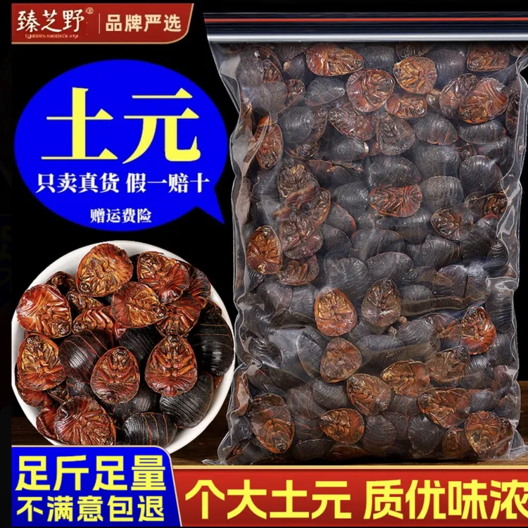 土元土鳖虫中药材正品地鳖虫土元粉大个非野生非金边土元土鳖虫